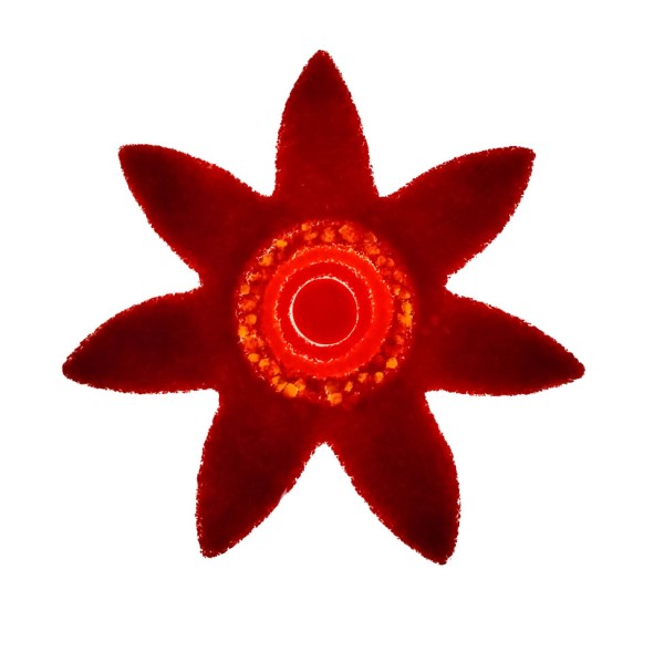 Fusingglas Blume spitz 15 cm