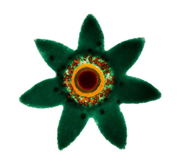 Fusingglas Blume spitz 15 cm